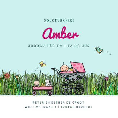 Geboortekaart VW bus broer en babyzusje 3