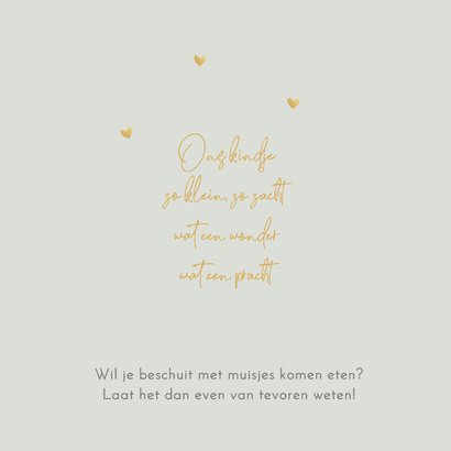 Geboortekaart zusje bakfiets av 2