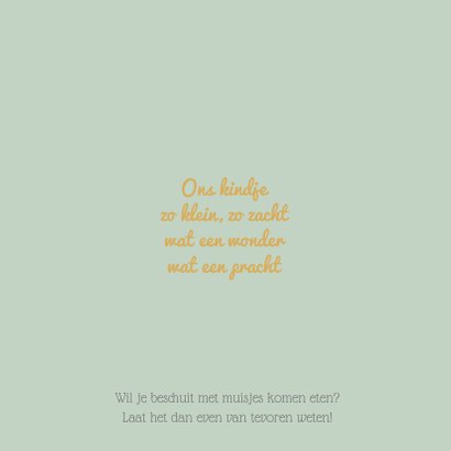 Geboortekaart zusje bakfiets av 2