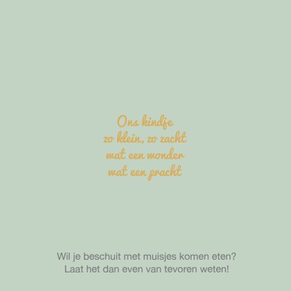 Geboortekaart zusje bakfiets av 2