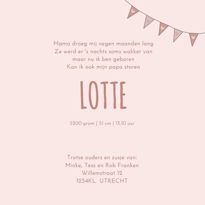 Geboortekaart zusje kinderwagen 3