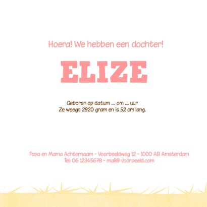 Geboortekaarten varkentje 3