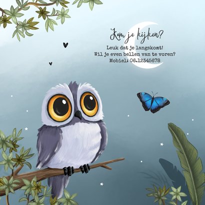 Geboortekaartje 3e kindje jongen uiltjes dieren nacht maan 2
