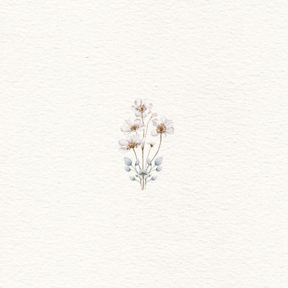 Geboortekaartje 5e broertje met groot gezin in bloemenweide Achterkant