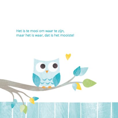 Geboortekaartje aqua uiltje 2