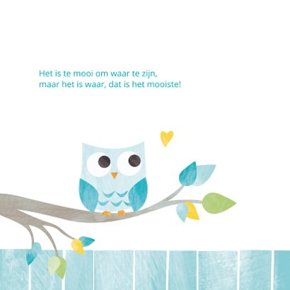 Geboortekaartje aqua uiltje 2