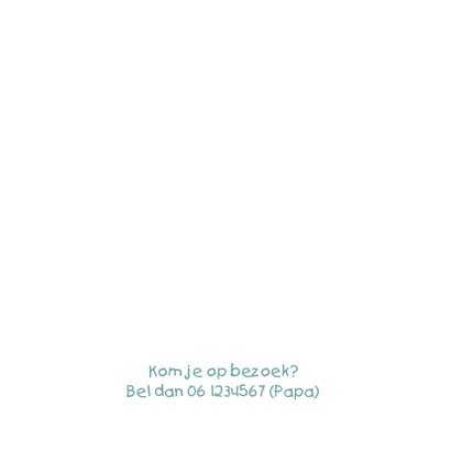 Geboortekaartje auto blauw 2