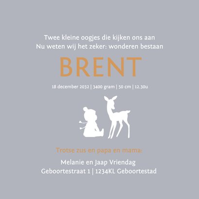 Geboortekaartje baby broertje slee met zus 3