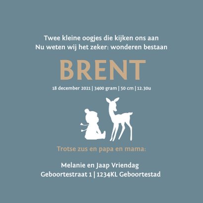 Geboortekaartje baby broertje slee met zus 3