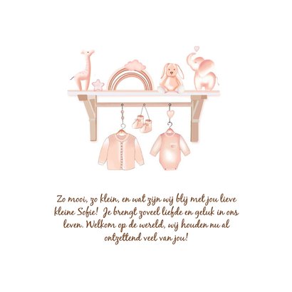 Geboortekaartje babyspulletjes plankje 2