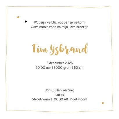 Geboortekaartje bakfiets broer en broertje silhouet  3