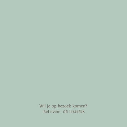 Geboortekaartje bakfiets met kinderen giraf 2