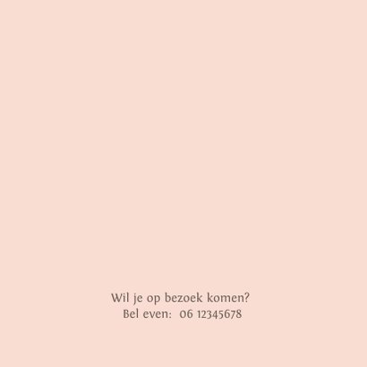 Geboortekaartje bakfiets met kinderen 2