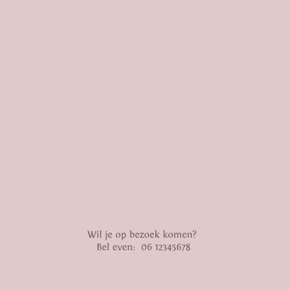 Geboortekaartje bakfiets met kinderen 2