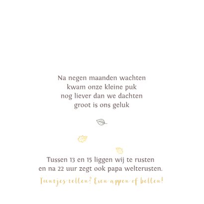 Geboortekaartje bakfietsje met zusjes watercolor 2