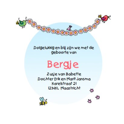 Geboortekaartje bakfietsje zusje 3