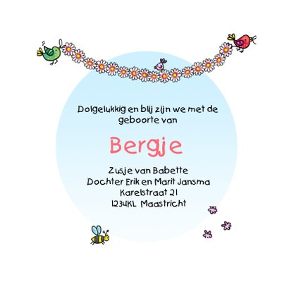 Geboortekaartje bakfietsje zusje 3