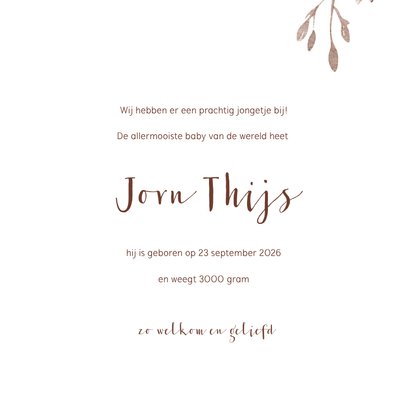 Geboortekaartje beer met kleine beer en takjes 3