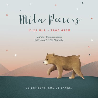 Geboortekaartje berenfamilie illustratie meisje sterren maan 3
