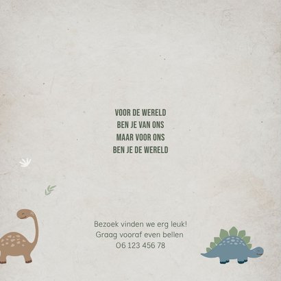 Geboortekaartje blauw dinosaurussen 2