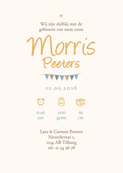 Geboortekaartje blauwe luchtballon dieren vintage sterren 3