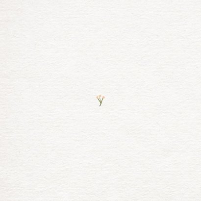 Geboortekaartje bloemetjes patroon groen roze meisje Achterkant