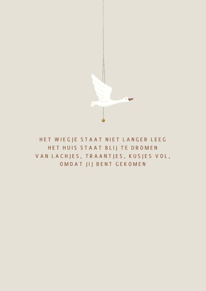 Geboortekaartje broer bij het wiegje van zijn broertje/zusje 2