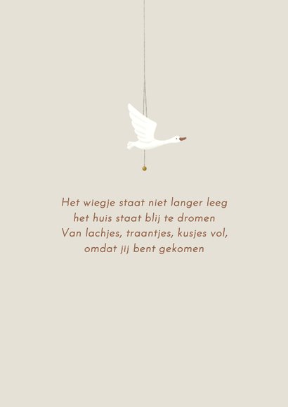 Geboortekaartje broer bij het wiegje van zijn broertje/zusje 2