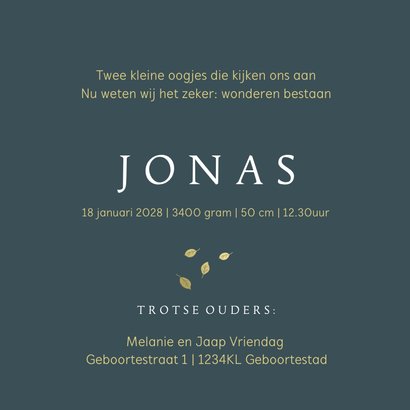 Geboortekaartje broer met kruiwagen goudlook 3