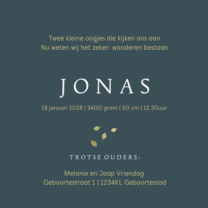 Geboortekaartje broer met kruiwagen goudlook 3