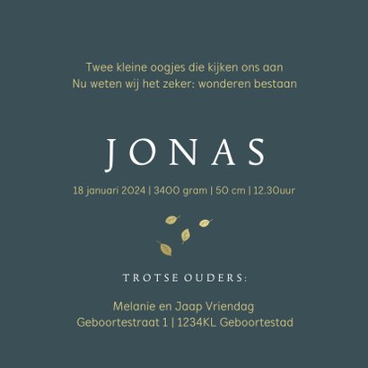 Geboortekaartje broer met kruiwagen goudlook 3