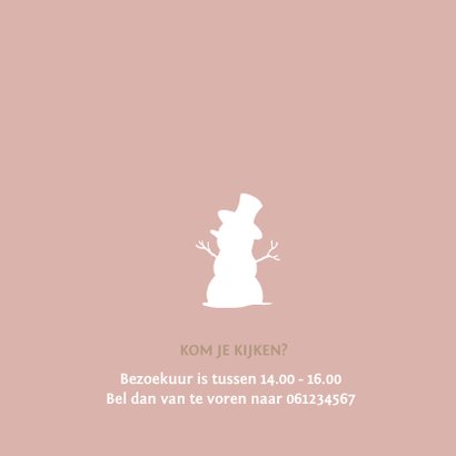 Geboortekaartje broer met slee zusje 2