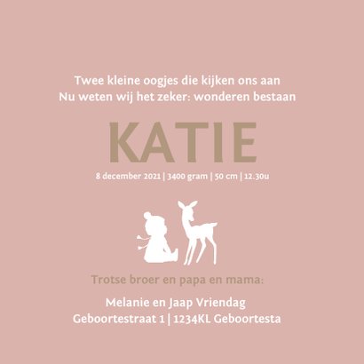 Geboortekaartje broer met slee zusje 3