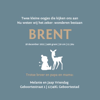 Geboortekaartje broer met slee 3