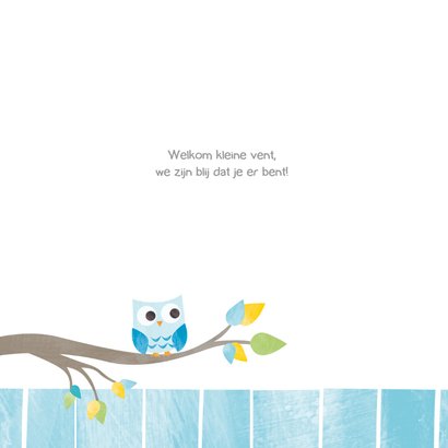 Geboortekaartje broer uiltjes 2