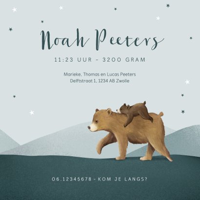 Geboortekaartje broertje dieren beren familie sterren 3