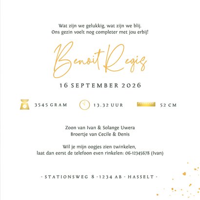 Geboortekaartje broertje in wieg broer en zus met krullen 3