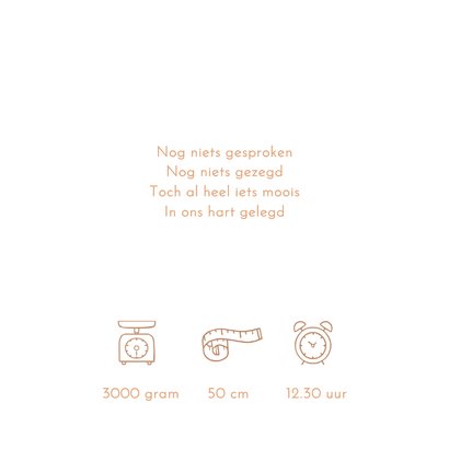 Geboortekaartje broertje kruiwagen en baby meisje 2