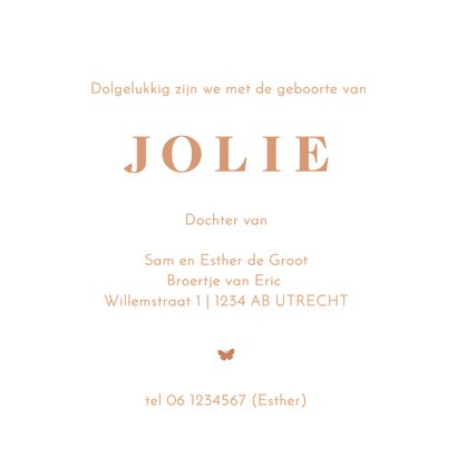 Geboortekaartje broertje kruiwagen en baby meisje 3