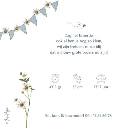 Geboortekaartje broertje met beertjes tussen de bloemen 2