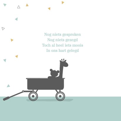 Geboortekaartje broertje met kar 2