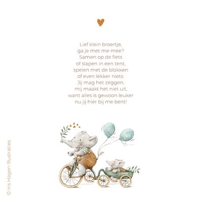 Geboortekaartje broertje met twee olifantjes op de fiets 2
