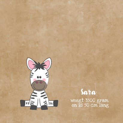 Geboortekaartje broertje of zusje met schattige zebra's 2