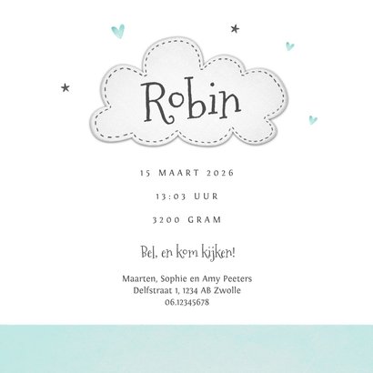 Geboortekaartje broertje zusje olifantjes wolkje 3