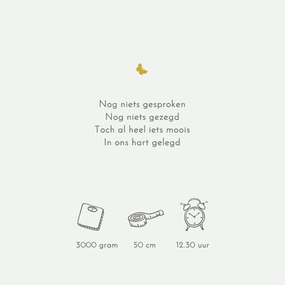 Geboortekaartje broertjes kruiwagen 2