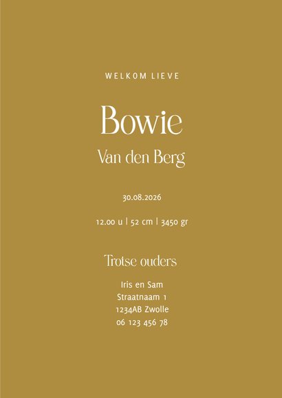 Geboortekaartje carrousel dieren olifant en hartjes 3