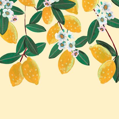 Geboortekaartje citroenen met bloesem Achterkant