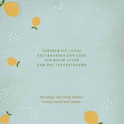 Geboortekaartje citroentjes blauw 2
