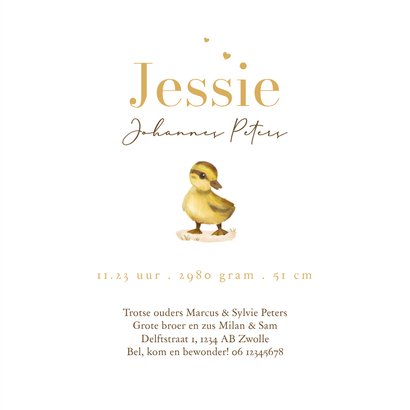 Geboortekaartje derde kindje eendjes lief goud hartjes 3