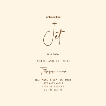 Geboortekaartje dieren carrousel olifant hartjes 3